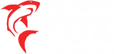 Rodney Fox Shark Expeditions